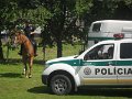 Den deti 2017   143